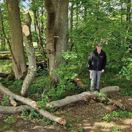 Loasen Vesterhede شقة Hejnsvig