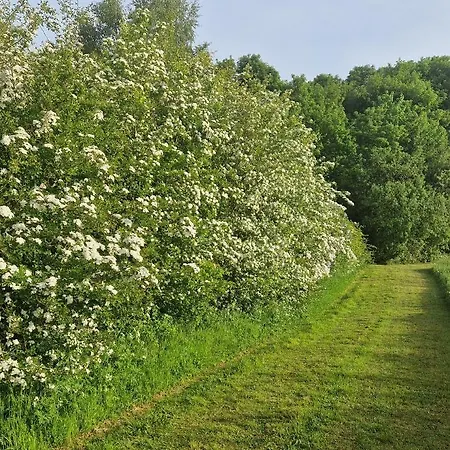 Loasen Vesterhede Hejnsvig
