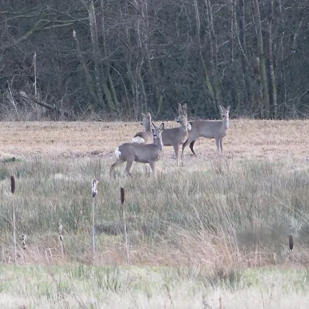 شقة Loasen Vesterhede