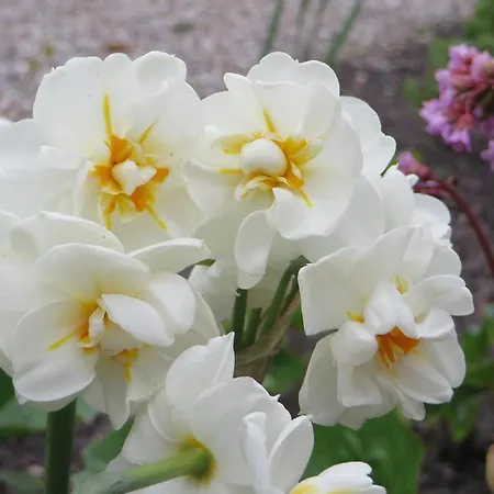 شقة Loasen Vesterhede *