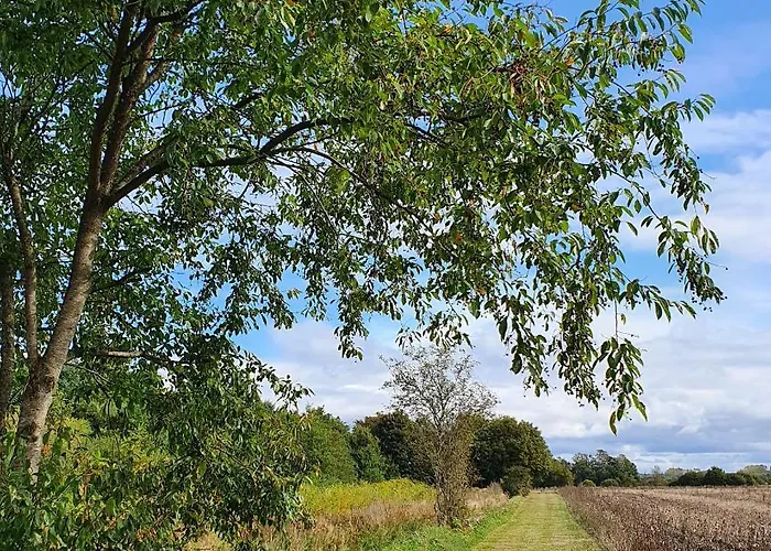 Loasen Vesterhede 公寓 Hejnsvig