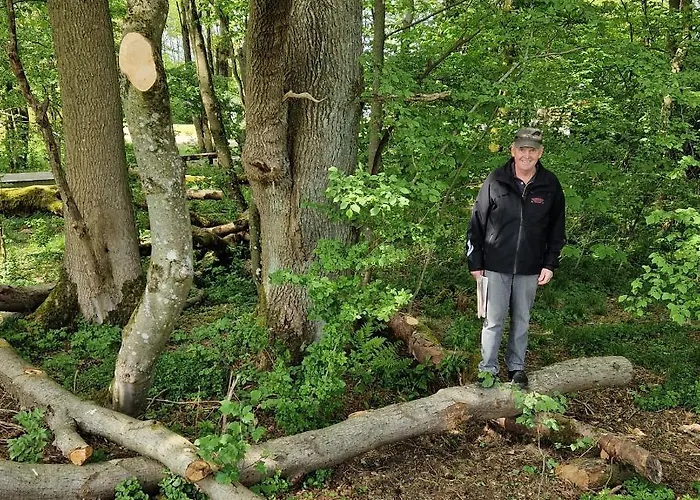 Loasen Vesterhede 公寓 Hejnsvig