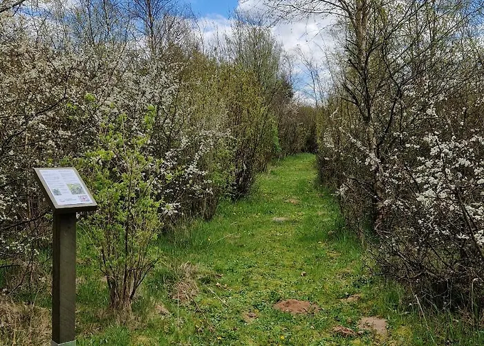 Loasen Vesterhede Hejnsvig