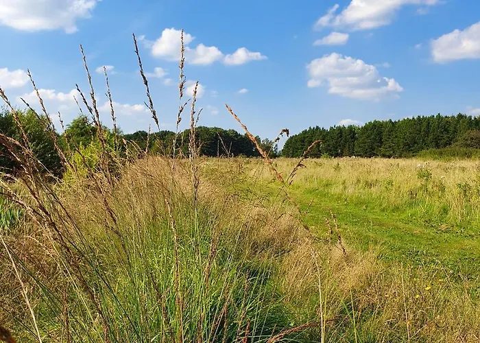 Loasen Vesterhede * Hejnsvig