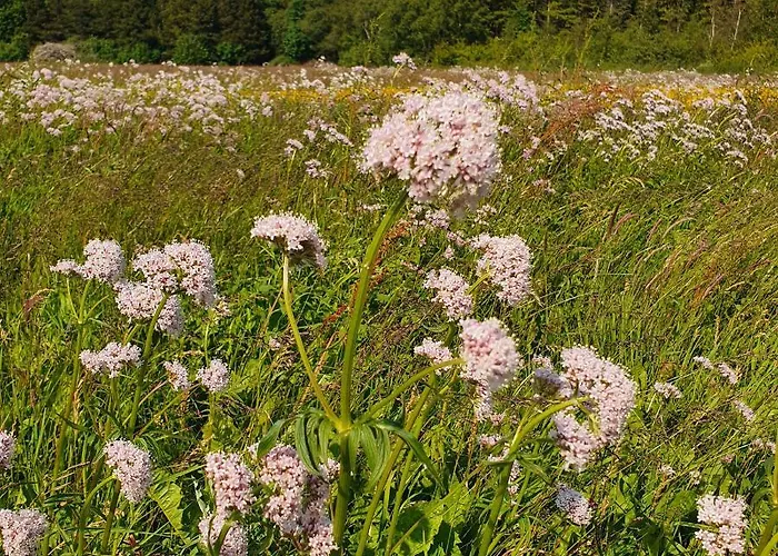 Loasen Vesterhede 公寓 Hejnsvig