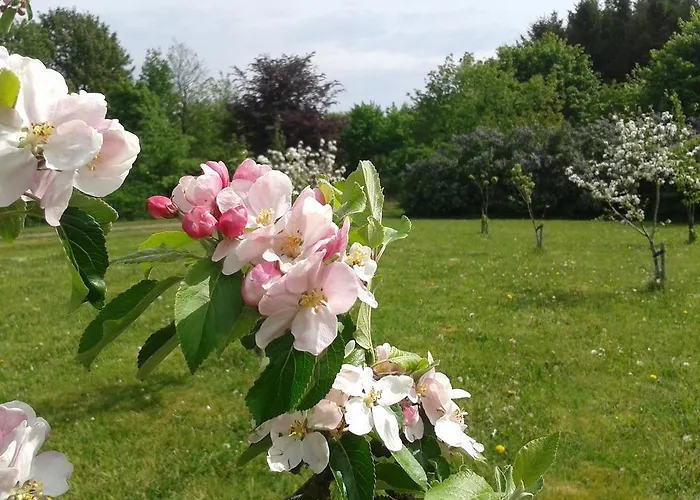 Lägenhet Loasen Vesterhede