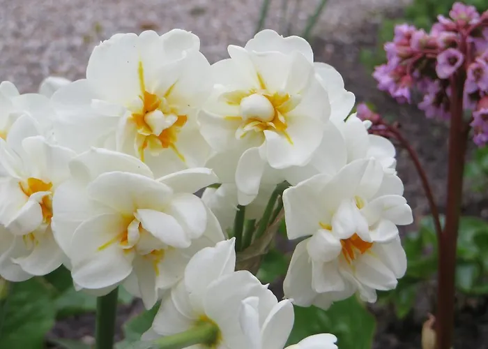 公寓 Loasen Vesterhede *